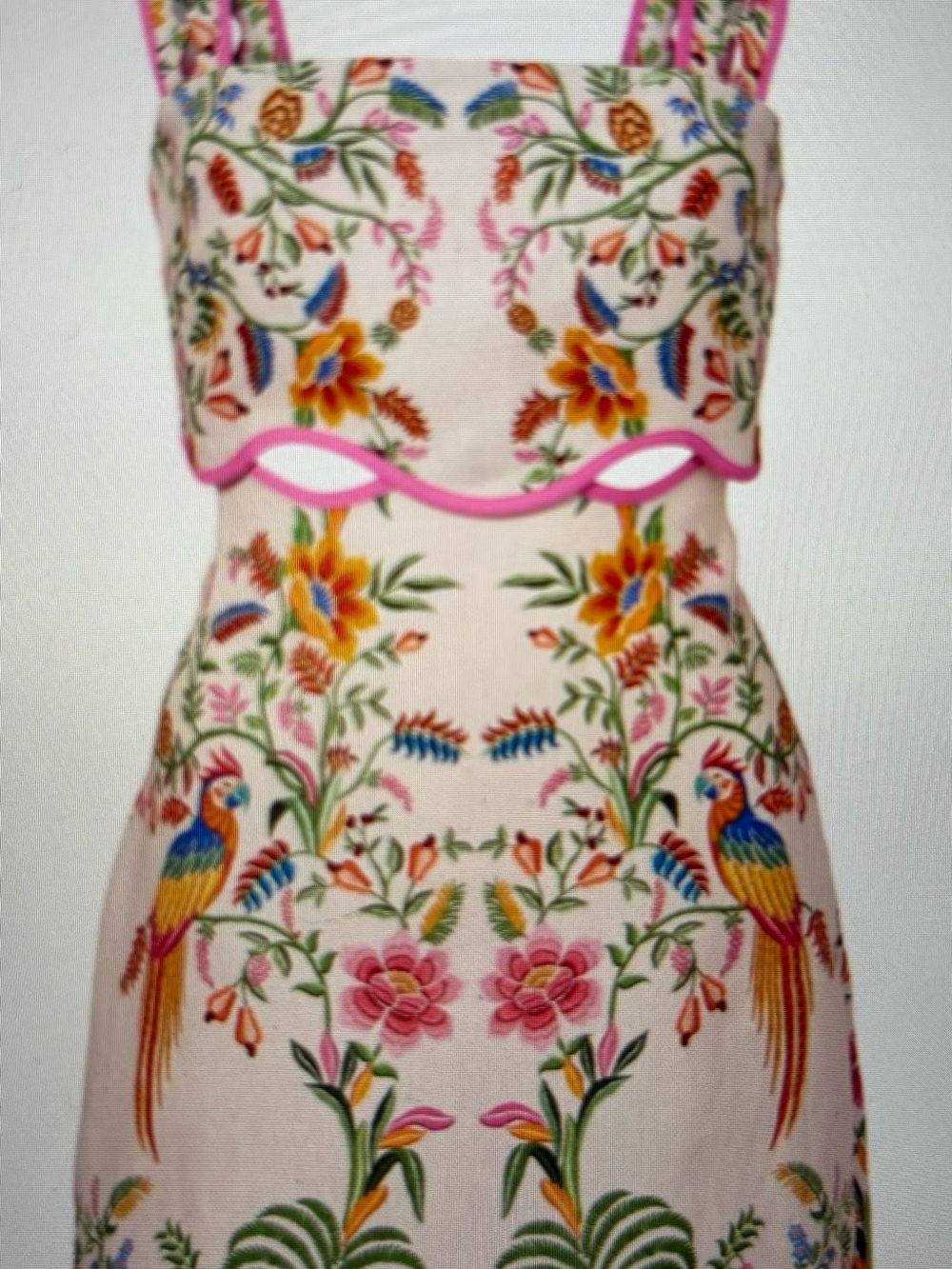 FARM Rio Cream Mini Dress Forest Linen Floral & Pink Trim Small - Picture 5 of 6